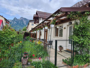 Casa Farcaș Bușteni